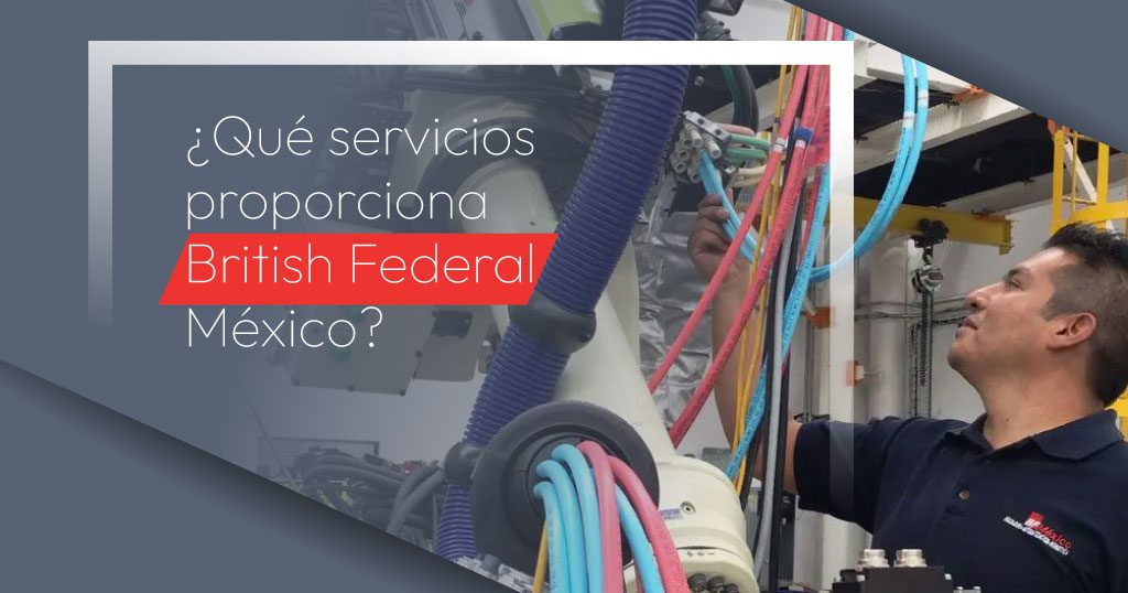 ¿Qué servicios proporciona British Federal México?